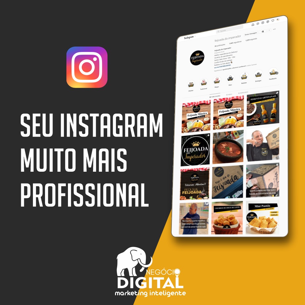 Criação de sites em Brasília - Seu Instagram muito mais Profissional