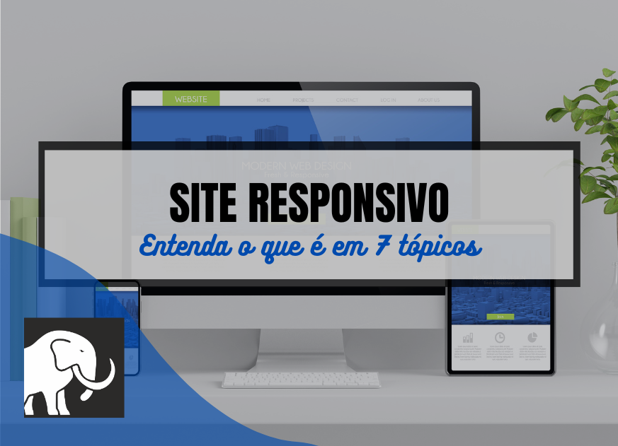 Read more about the article Entenda o que é um Site Responsivo em 7 tópicos