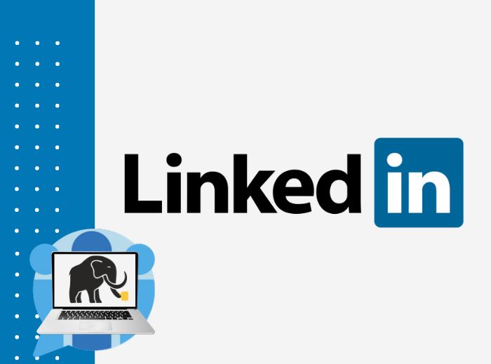 O LinkedIn é uma rede social para profissionais e empresas, permitindo que as empresas criem uma página empresarial e sejam encontradas por potenciais clientes e parceiros de negócios.